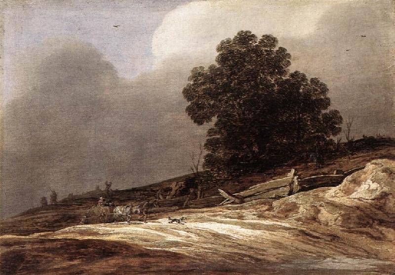 MOLYN, Pieter de Dunes g Sweden oil painting art